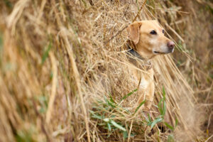 New Orleans Commercial Photographer Noel Marcantel Sportsman Gear 4