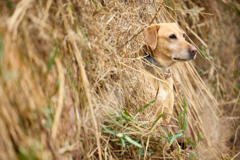 New Orleans Commercial Photographer Noel Marcantel Sportsman Gear 4