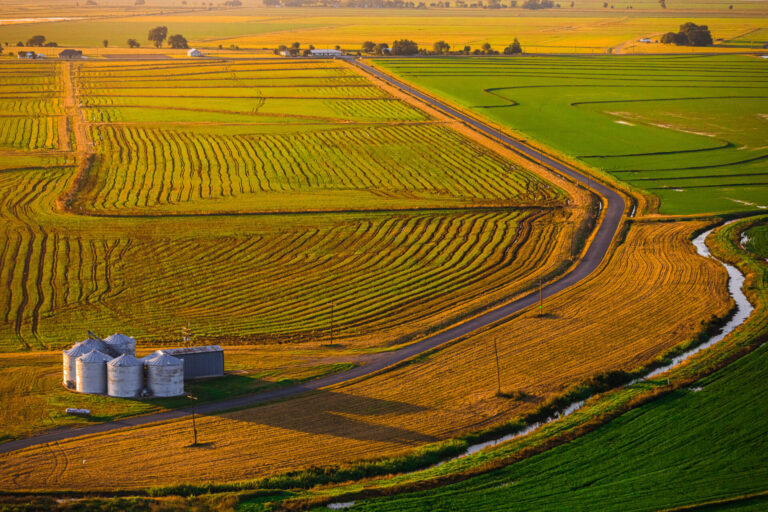 New Orleans Industrial Photographer Noel Marcantel Louisiana Agriculture 1